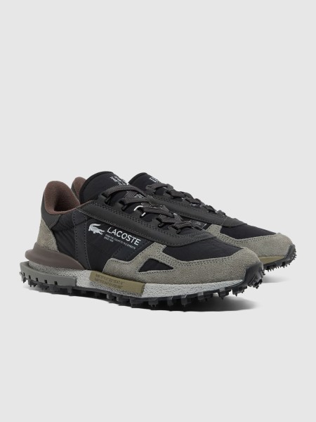 Trainers Male Lacoste
