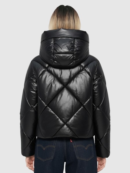 Jacket Female Only Jacket Female Only