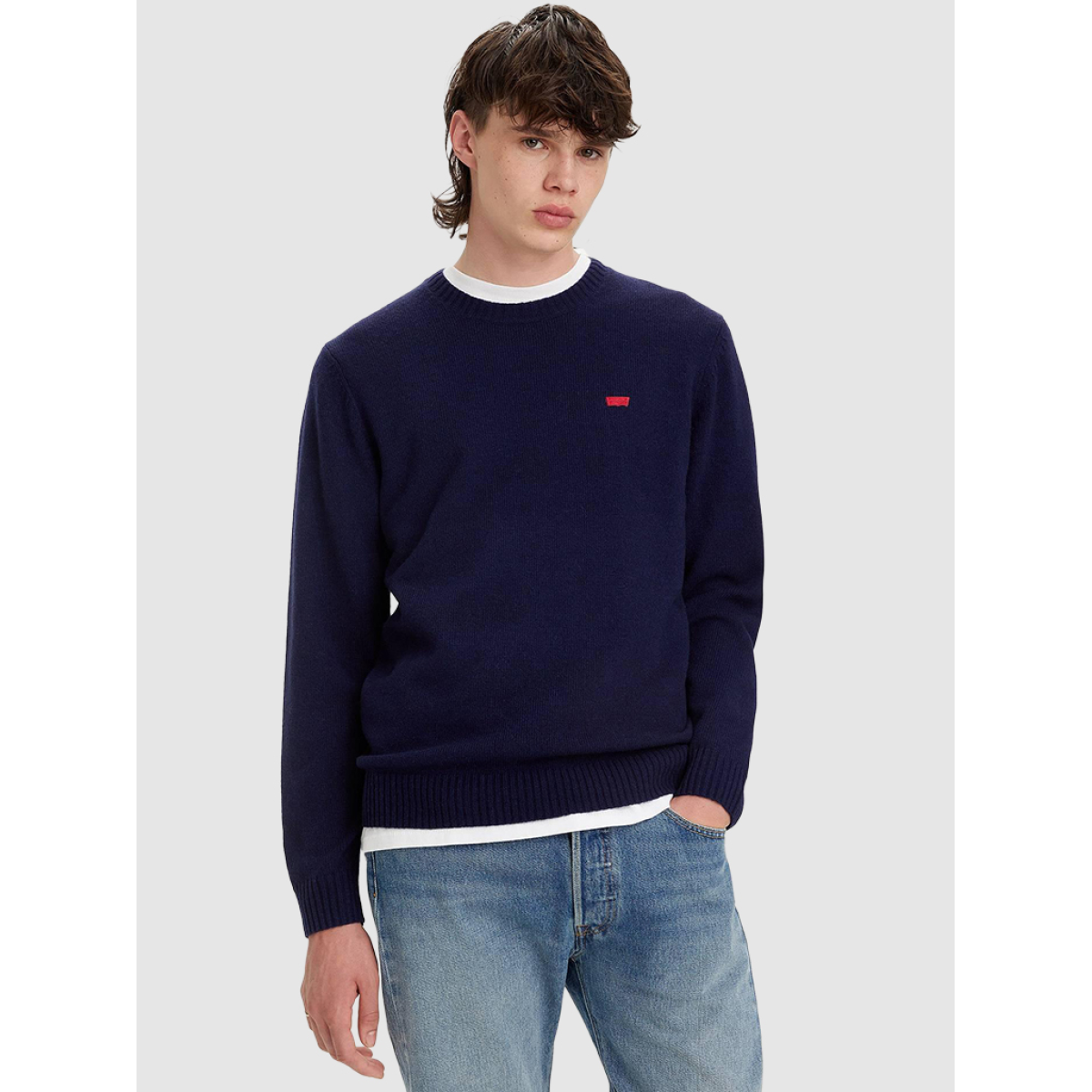 Jumpers Male Levis Navy Blue - A43200001.38 | Forte Store